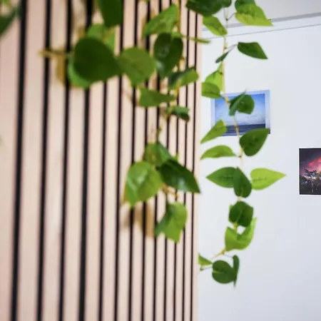 Couette-café La Terrazza - Castel Volturno